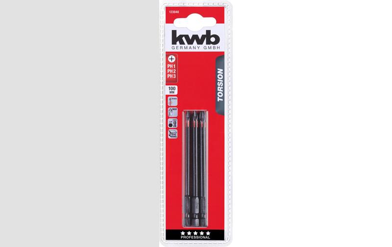 Набір торсіонних біт KWB PH1/PH2/PH3 100 мм 3 шт (123040)