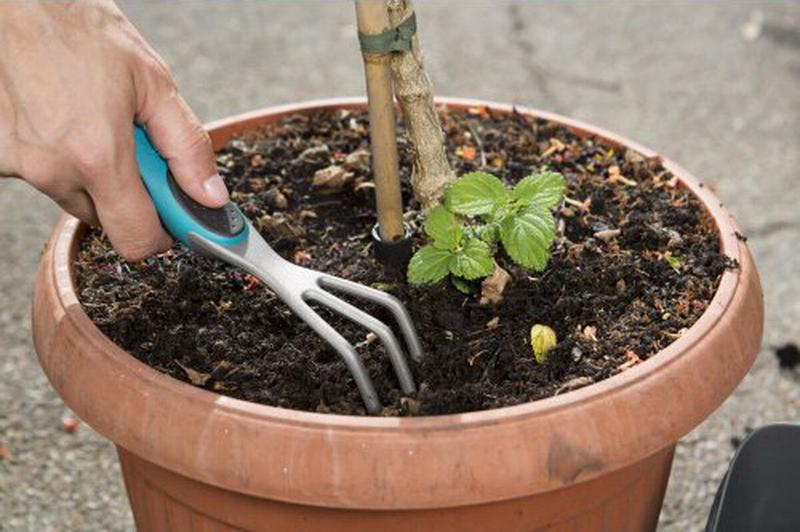 Набір для балконного садівництва GARDENA (у ящику) (08971-20.000.00)