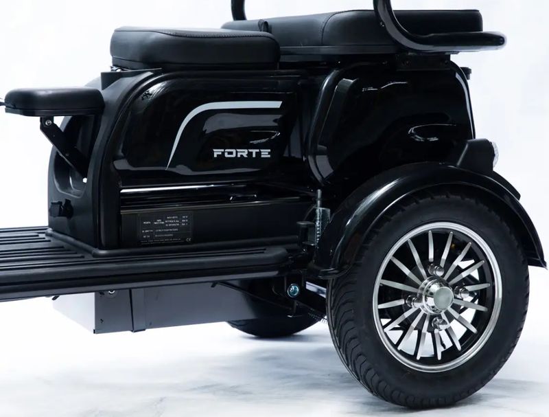 Акумуляторний трицикл Forte Family-P1000 (чорний) (145230)