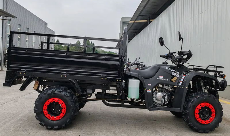 Квадроцикл вантажний Forte ATV-250BS-T (чорний) (135670)