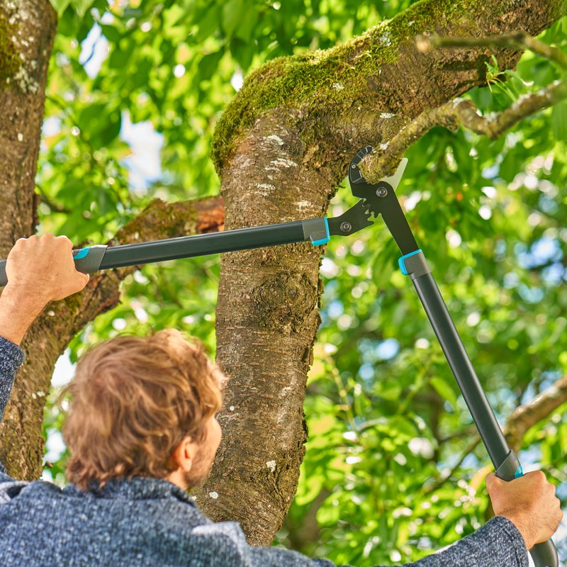 Сучкоріз для сухих гілок до 50 мм Gardena EnergyCut Pro L Anvil, 75 см (12052-20)