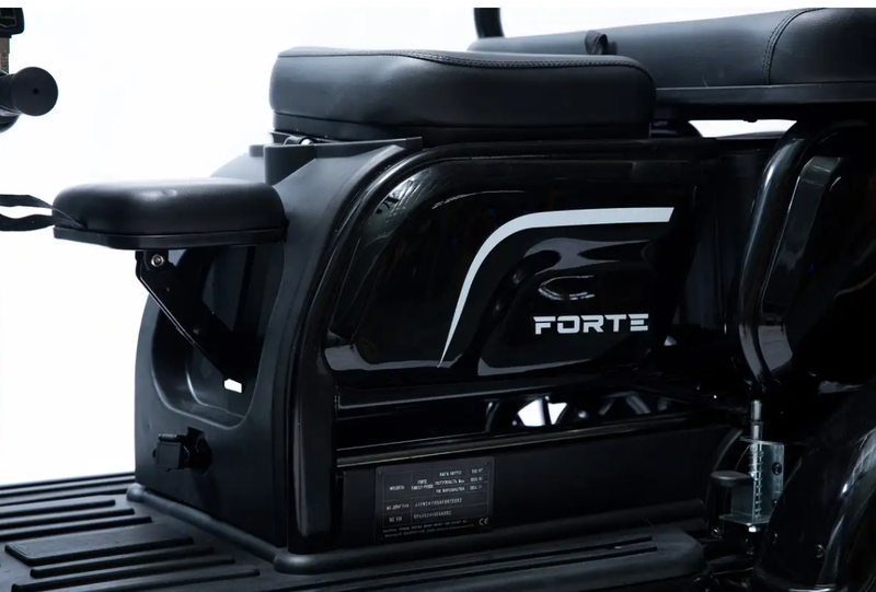 Акумуляторний трицикл Forte Family-P1000 (чорний) (145230)