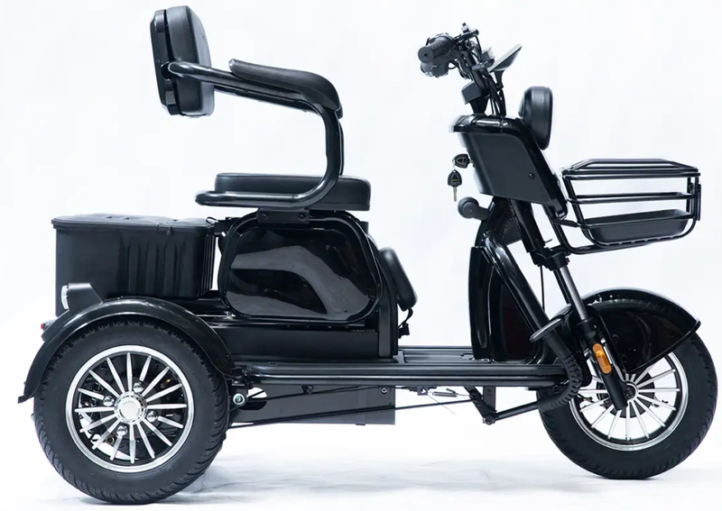 Акумуляторний трицикл Forte Family-P1000 (чорний) (145230)