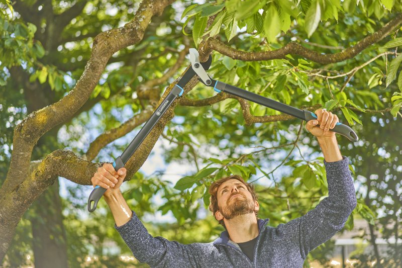 Сучкоріз Gardena EnergyCut Pro L, 50 мм (12051-20.000.00)