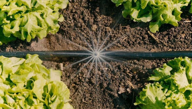 Комплект поливу Gardena Micro-Drip-System (13450-20.000.00)
