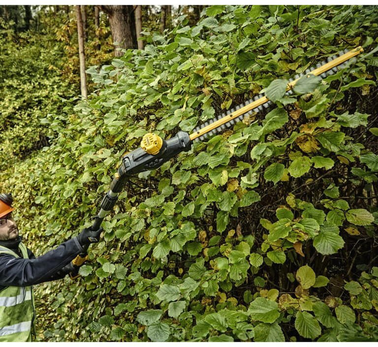 Кущоріз акумуляторний щітковий зі штангою DeWALT DCMPH566P1