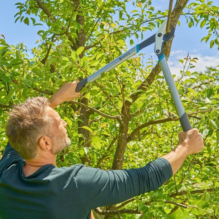 Сучкоріз Gardena EnergyCut basic 42 мм (12021-20.000.00)