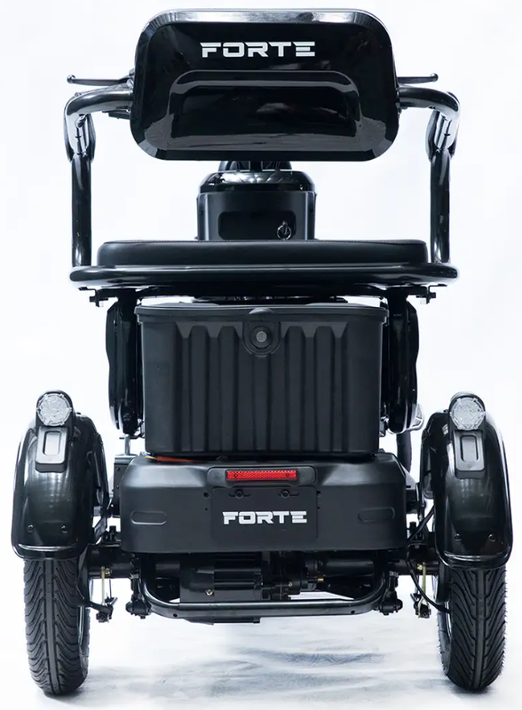 Акумуляторний трицикл Forte Family-P1000 (чорний) (145230)