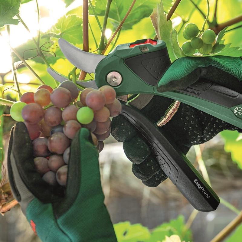 Секатор акумуляторний Bosch EasyPrune (0.600.8B2.102)