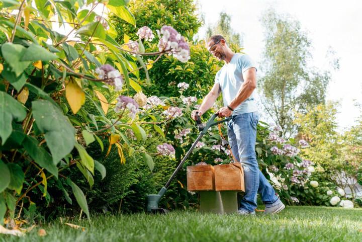 Тример Bosch EasyGrassCut 23 (06008C1H00)