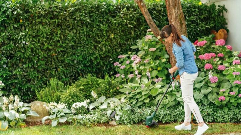 Тример садовий Bosch EasyGrassCut 26 (0.600.8C1.J01)