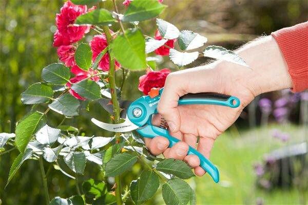 Сікатор Gardena 22мм (08857-20.000.00)