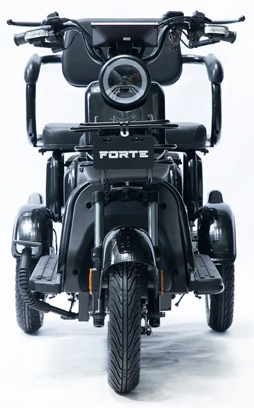 Акумуляторний трицикл Forte Family-P1000 (чорний) (145230)