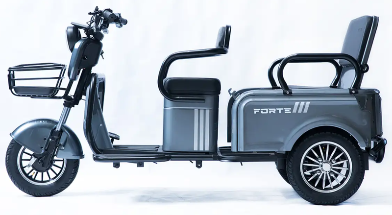 Акумуляторний трицикл Forte CARGO-P800 (сірий) (145420)