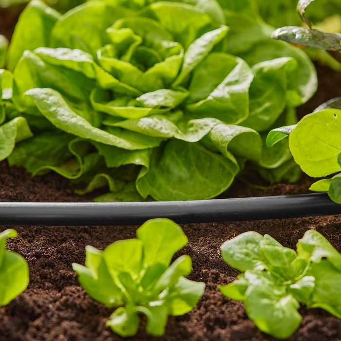 Шланг магістральний Gardena Micro-Drip-System 13 мм, 50 м (01347-20)