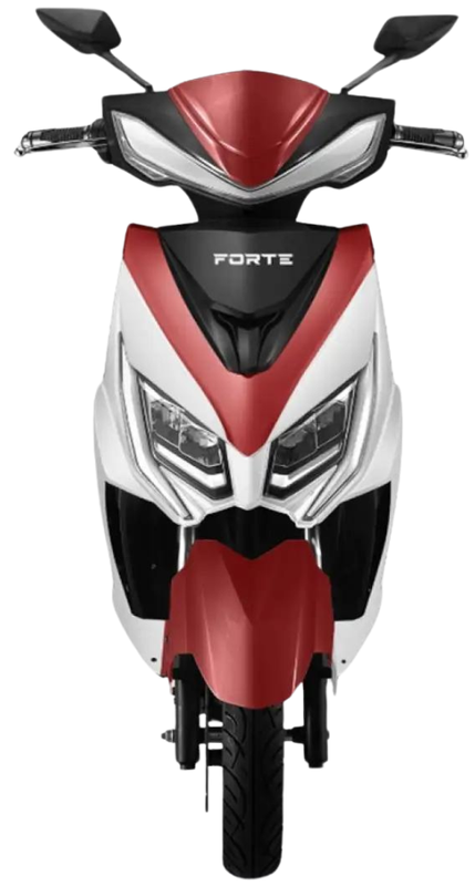 Електроскутер Forte Leon Pro, сірий (139018)