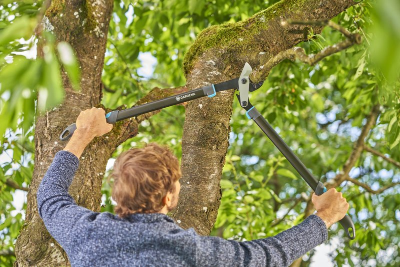 Сучкоріз для сухих гілок до 50 мм Gardena EnergyCut Pro L Anvil, 75 см (12052-20)