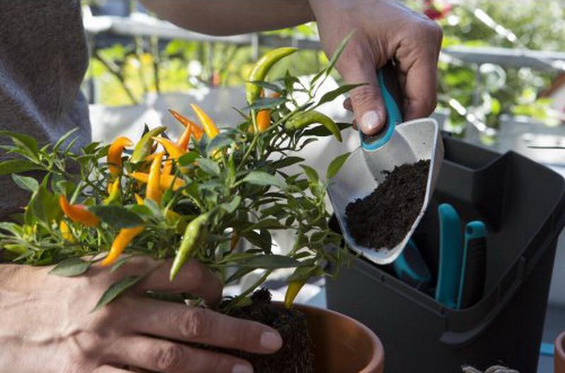 Набір для балконного садівництва GARDENA (у ящику) (08971-20.000.00)