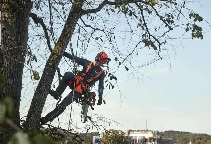Акумуляторна ланцюгова пилка Husqvarna T535iXP (9707164-12) (без АКБ та ЗП)