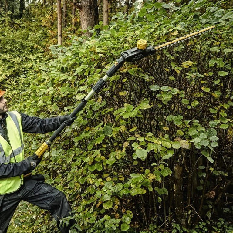 Кущоріз акумуляторний щітковий зі штангою DeWALT DCMPH566P1