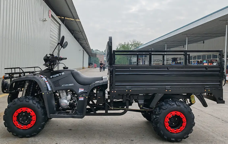 Квадроцикл вантажний Forte ATV-250BS-T (чорний) (135670)