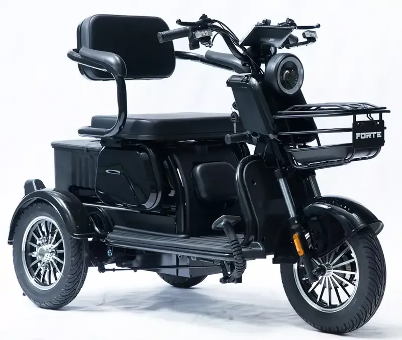 Акумуляторний трицикл Forte Family-P1000 (чорний) (145230)