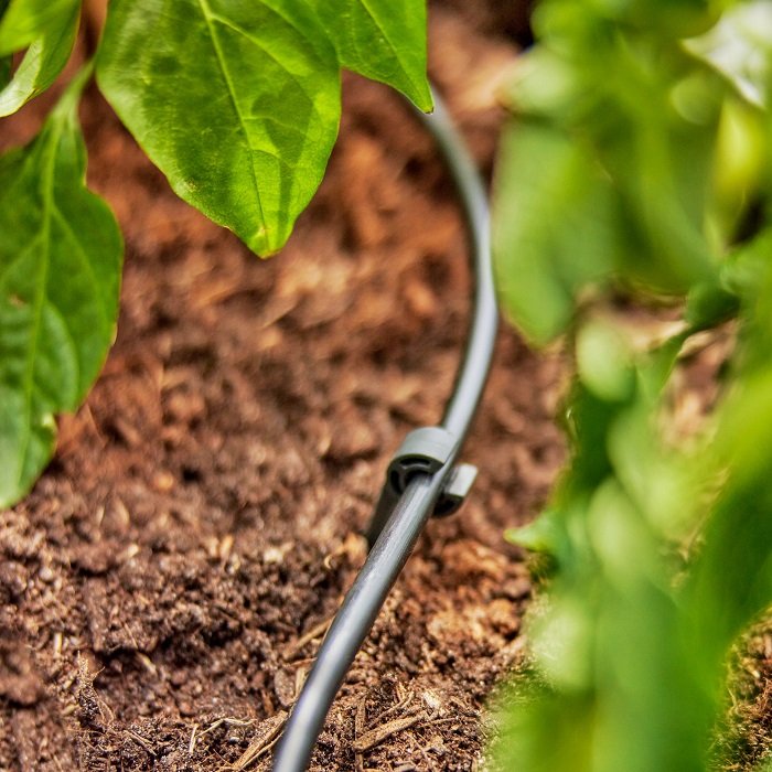 Шланг подаючий Gardena Micro-Drip-System 4,6 мм, 50 м (01348-20)