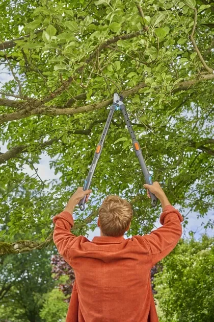 Сучкоріз Gardena TeleCut Pro L, 50 мм (12041-20.000.00)