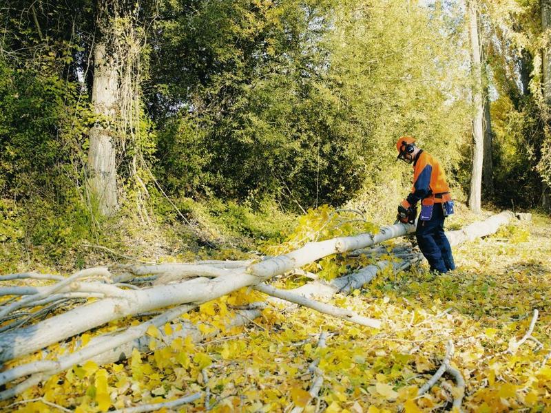 Бензопилки Husqvarna 236