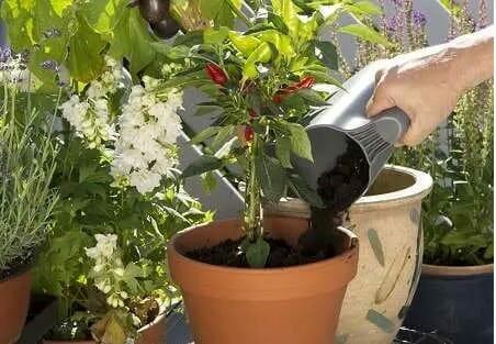 Комплект садових інструментів Gardena Classic Ergo з ковшем (08966-30.000.00)