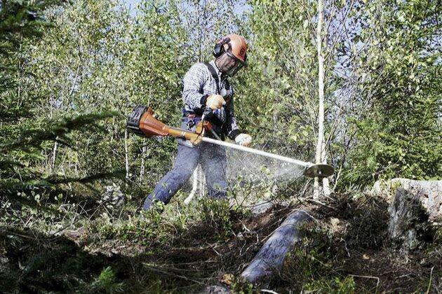 Кущоріз (мотокоса) Husqvarna 545F (9678845-01)