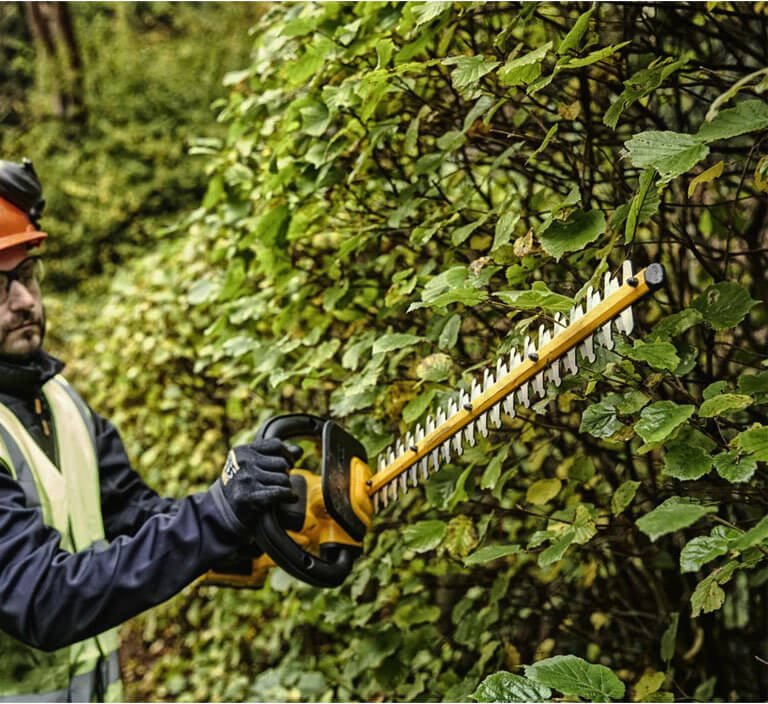 Кущоріз акумуляторний щітковий зі штангою DeWALT DCMPH566P1