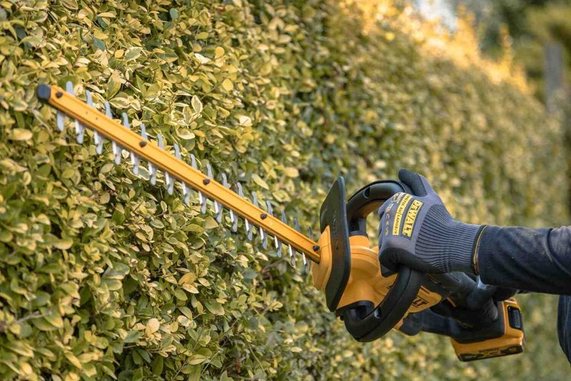 Кущоріз акумуляторний DeWALT DCMHT564P1