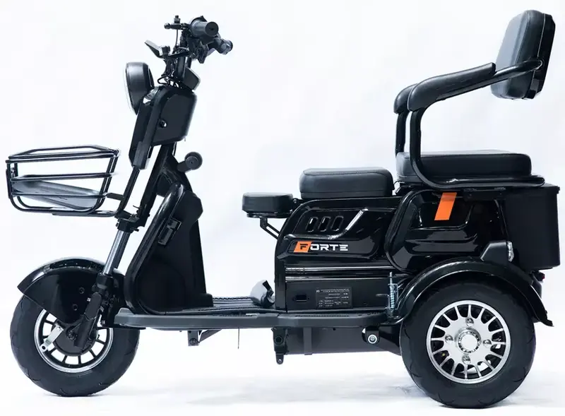 Акумуляторний трицикл Forte Family-P600 (чорний) (145224)